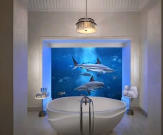 Atlantis, The Palm