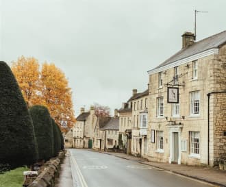 The Falcon Painswick