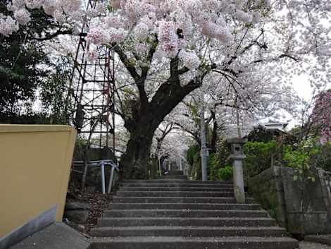 

Ryokan&Hostel izuna