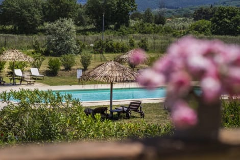 

La Beccanina