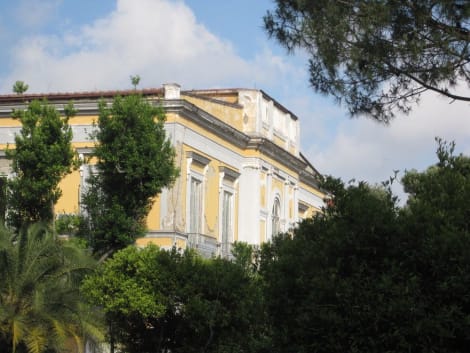 

B&B Savonarola