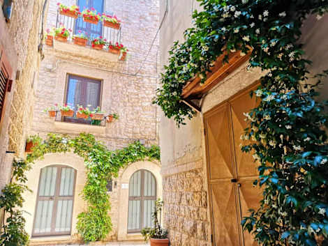 

Francis' Guest House