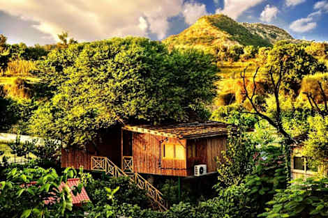 

The Tree House Resort