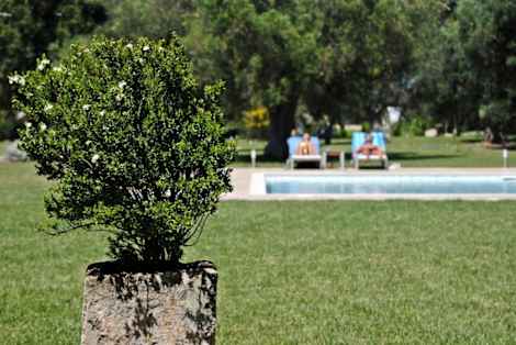 

Masseria Corda di Lana