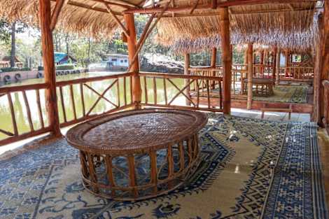 

Jungle House Nature