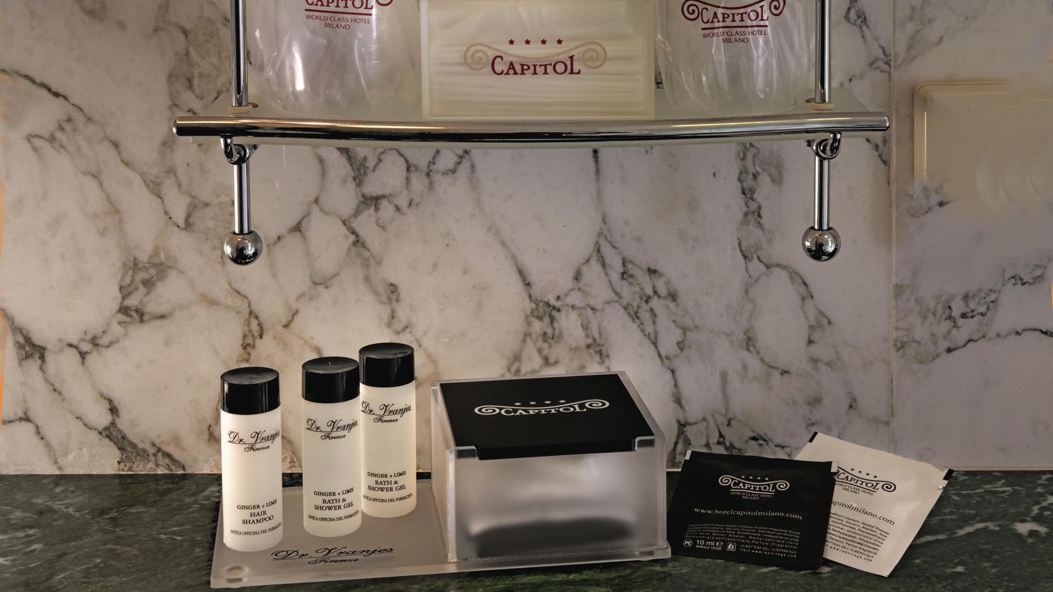 Hotel Capitol Milano 4