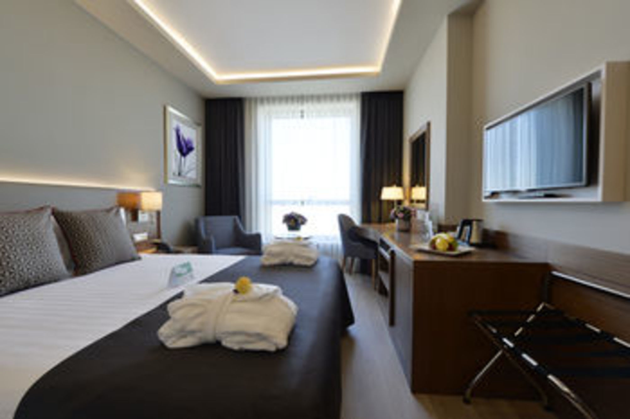 Holiday Inn BURSA - CITY CENTRE by IHG 2