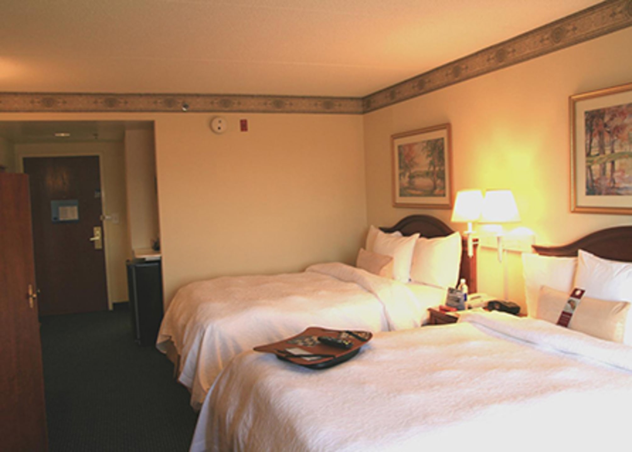 Hampton Inn & Suites Atlanta-Galleria 1