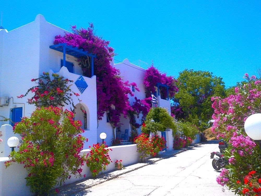 Paris - Paros - Pelagos Studios