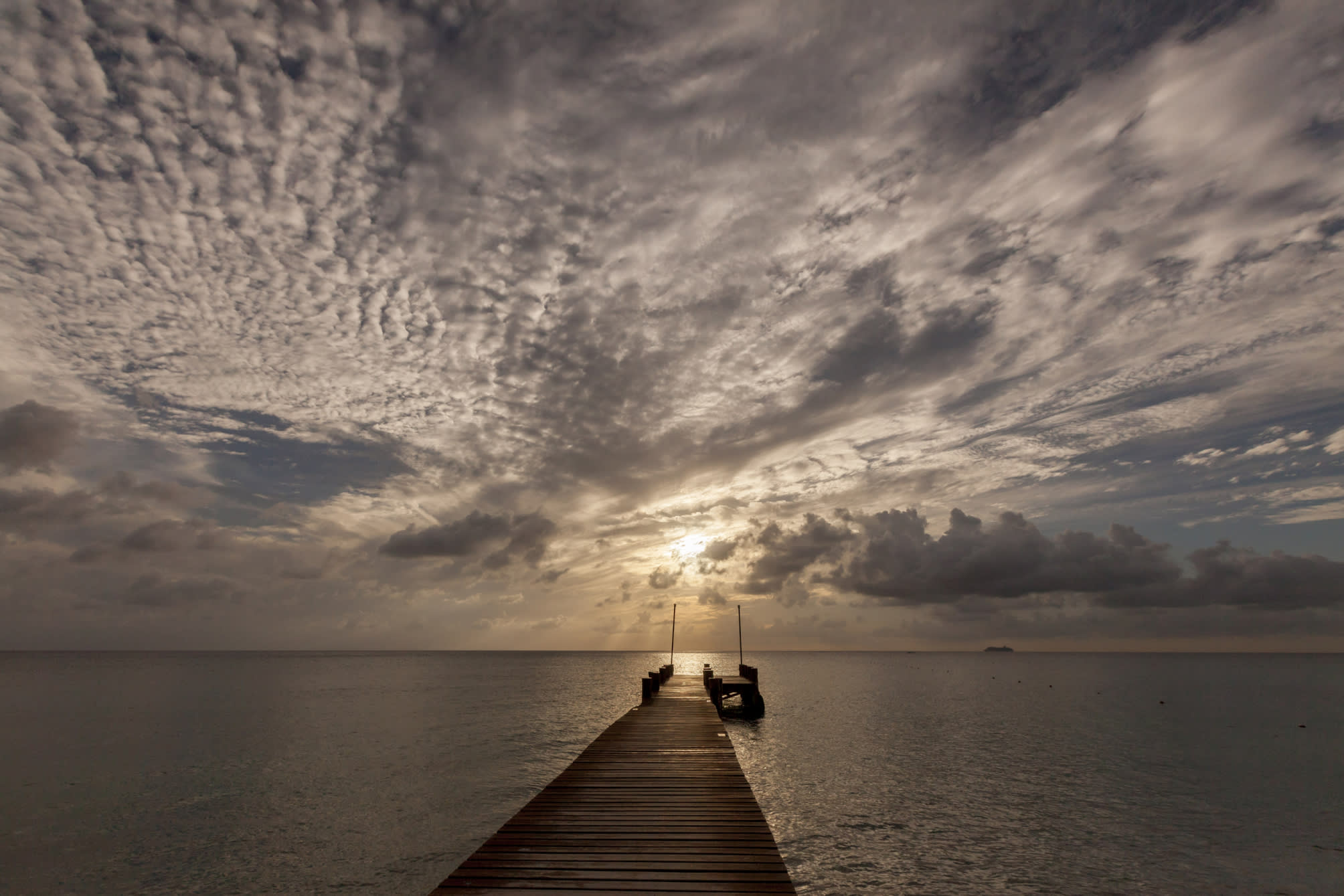 Occidental Cozumel 4