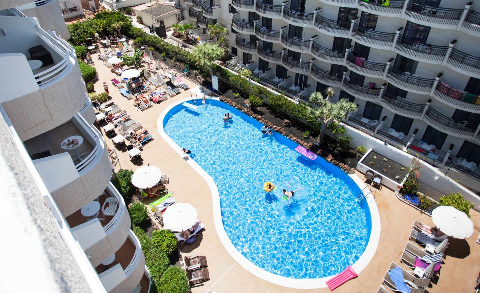 Coral California - Adults Only 1