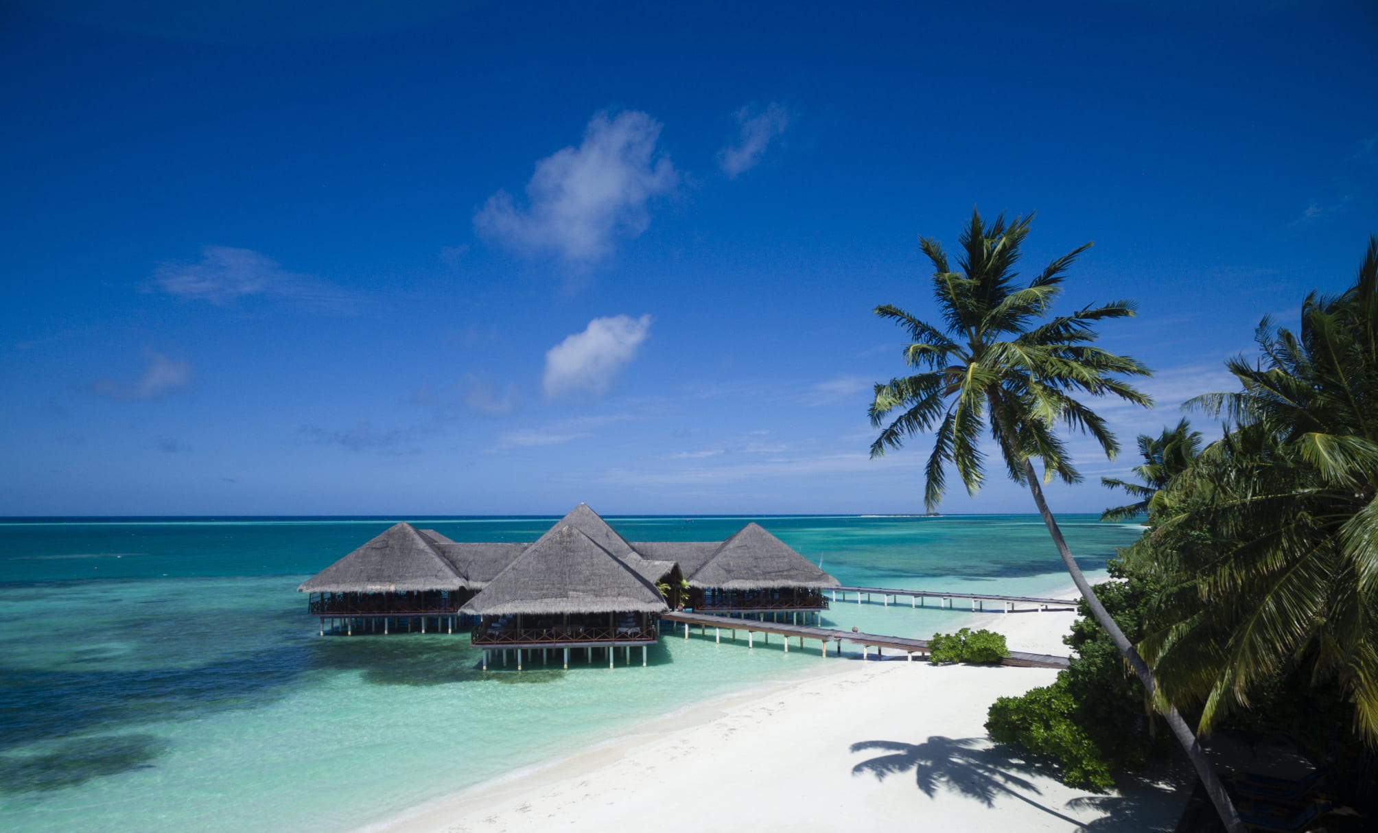 Medhufushi Island Resort 2