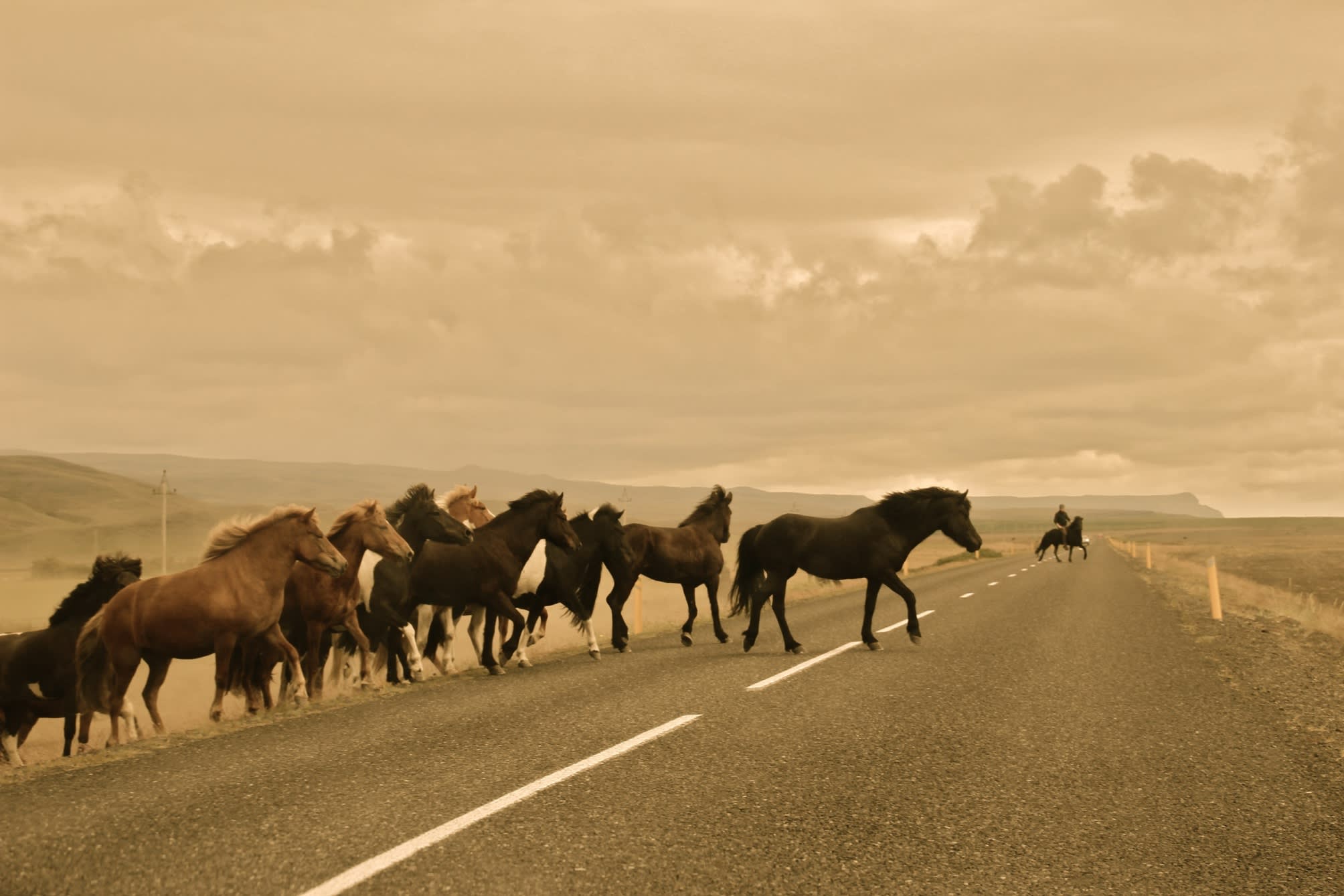 Seljalandsfoss Horizons 5
