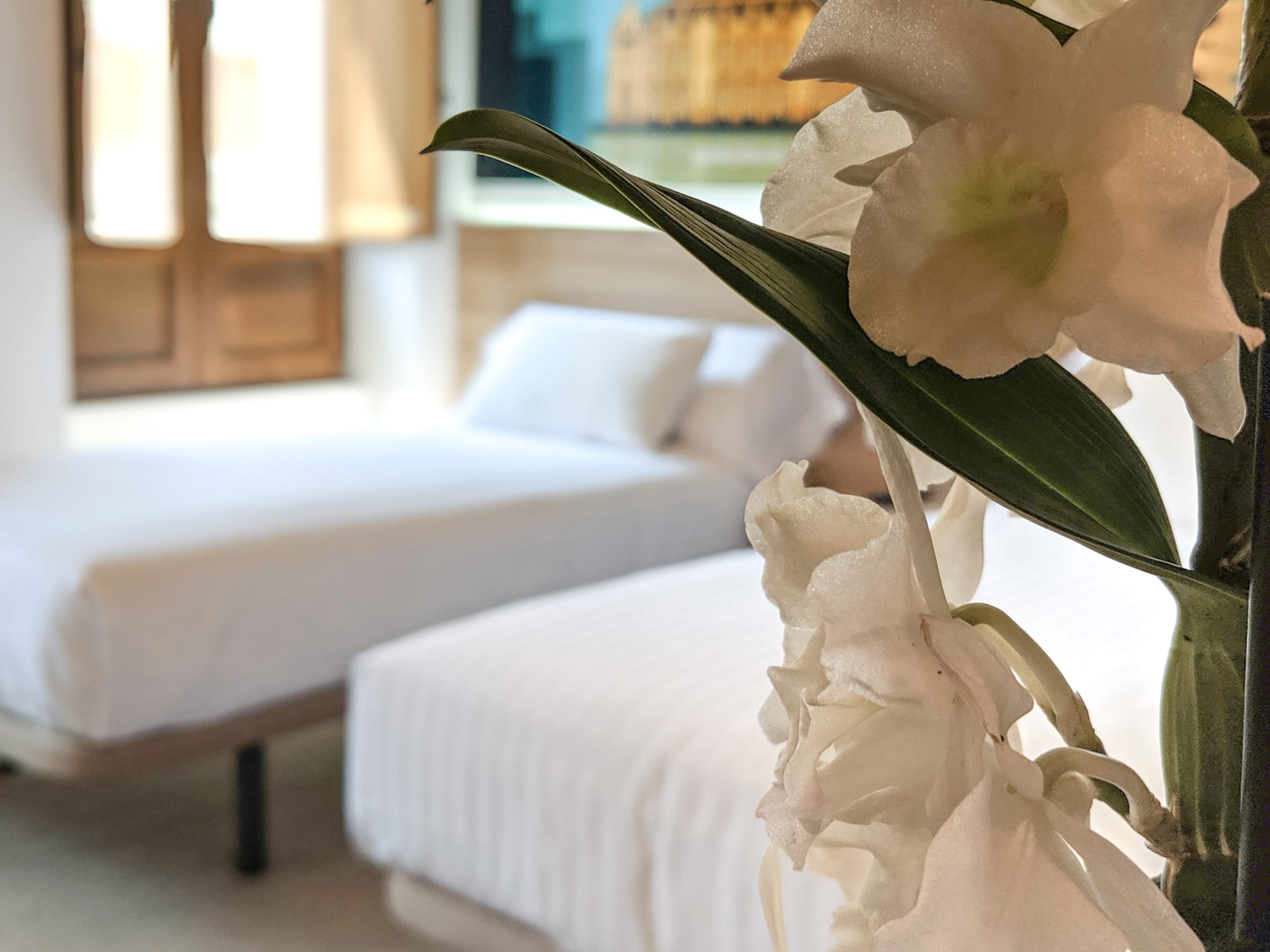 Original Domino House 4