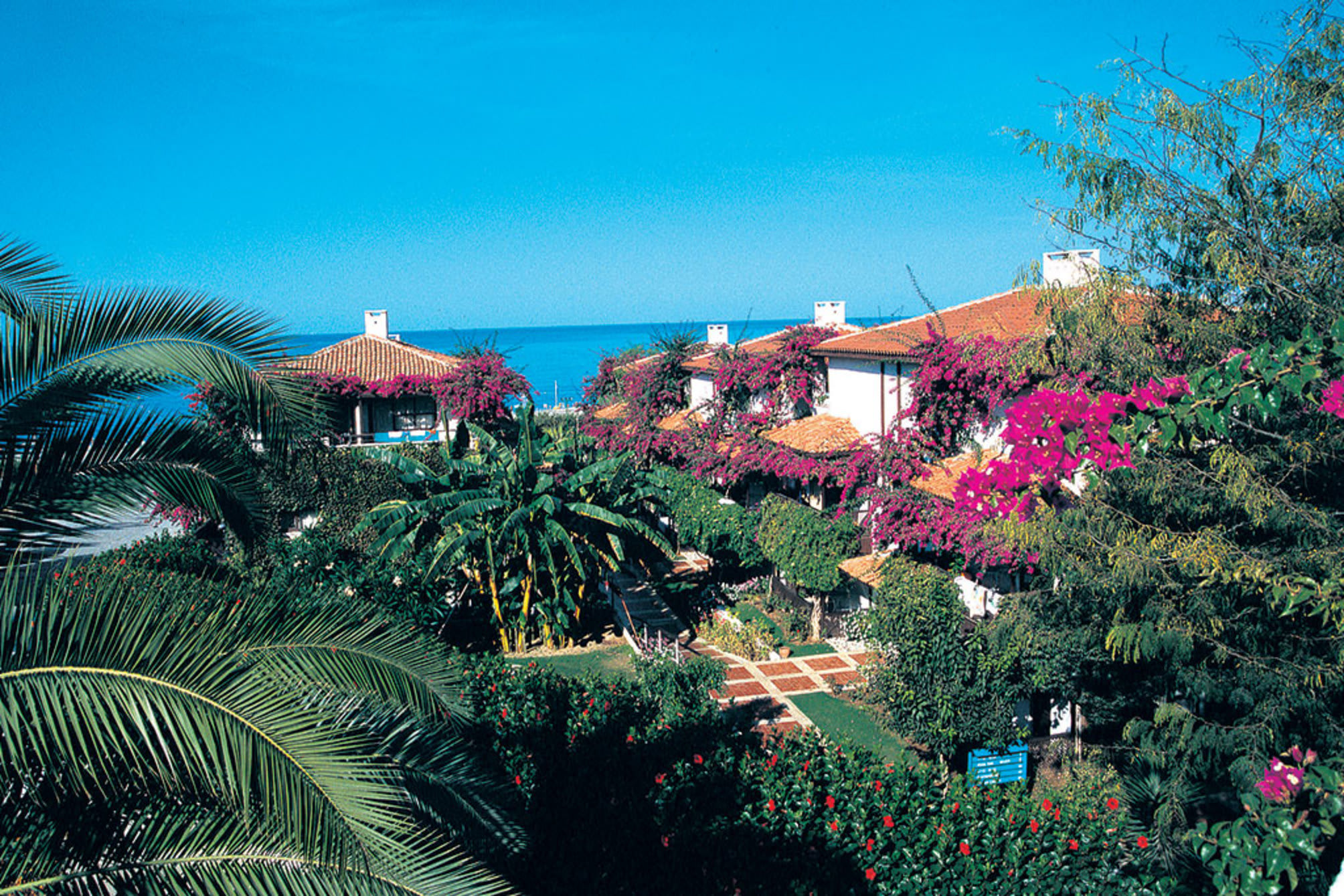 Club Titan Hotel Ultra All Inclusive 2