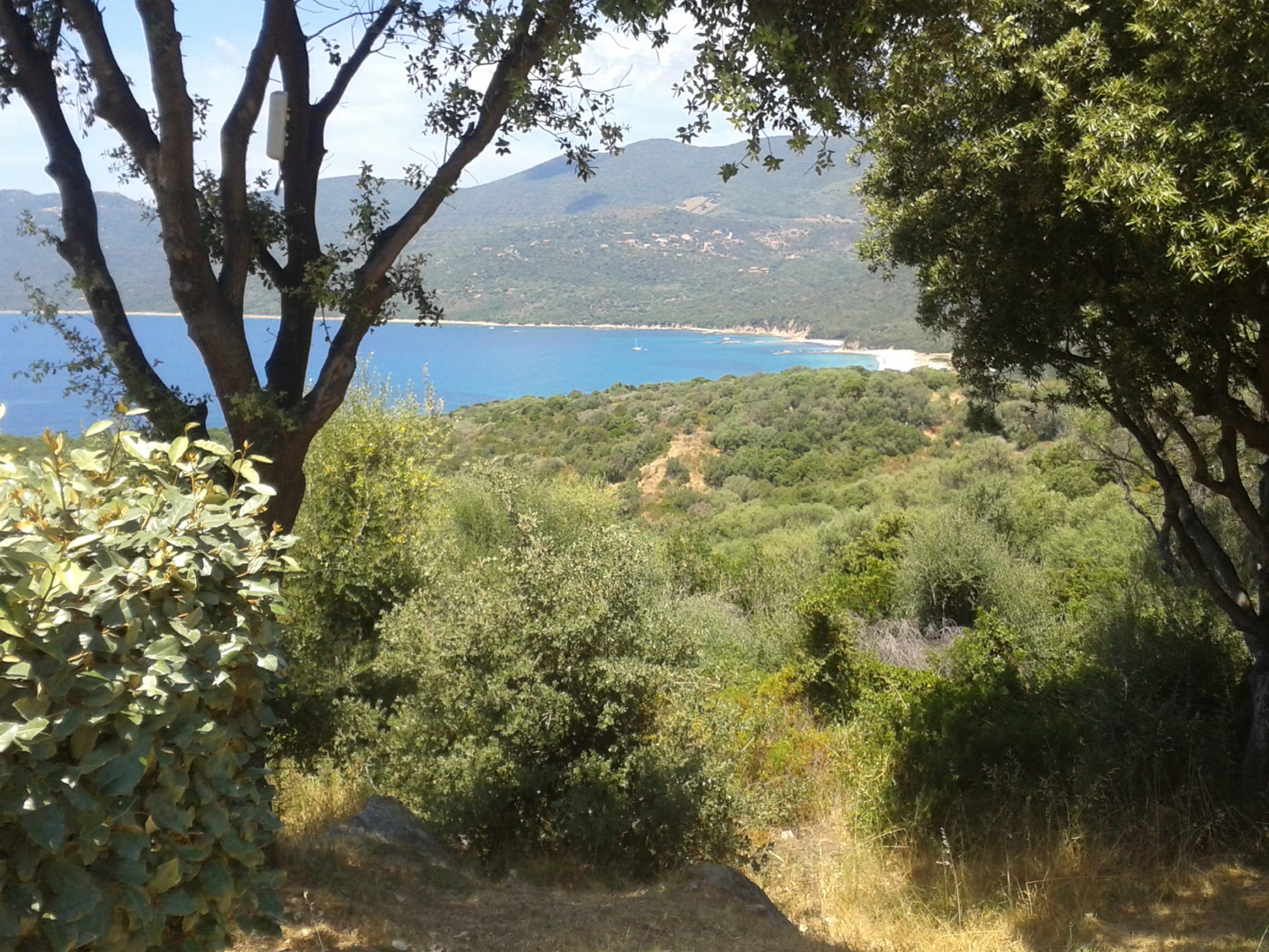 Residence Alba Rossa 4