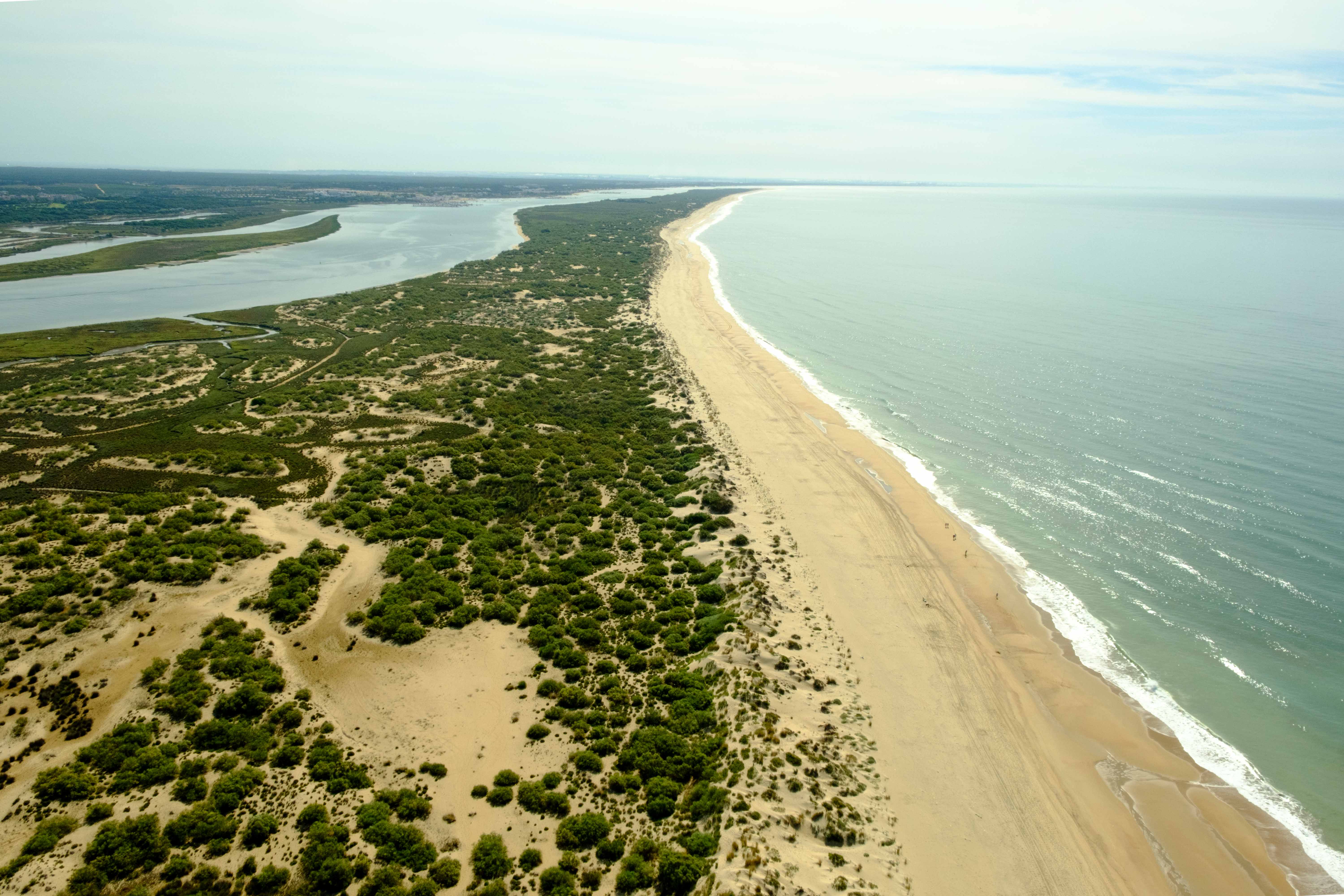 Estival Isla Cristina 2