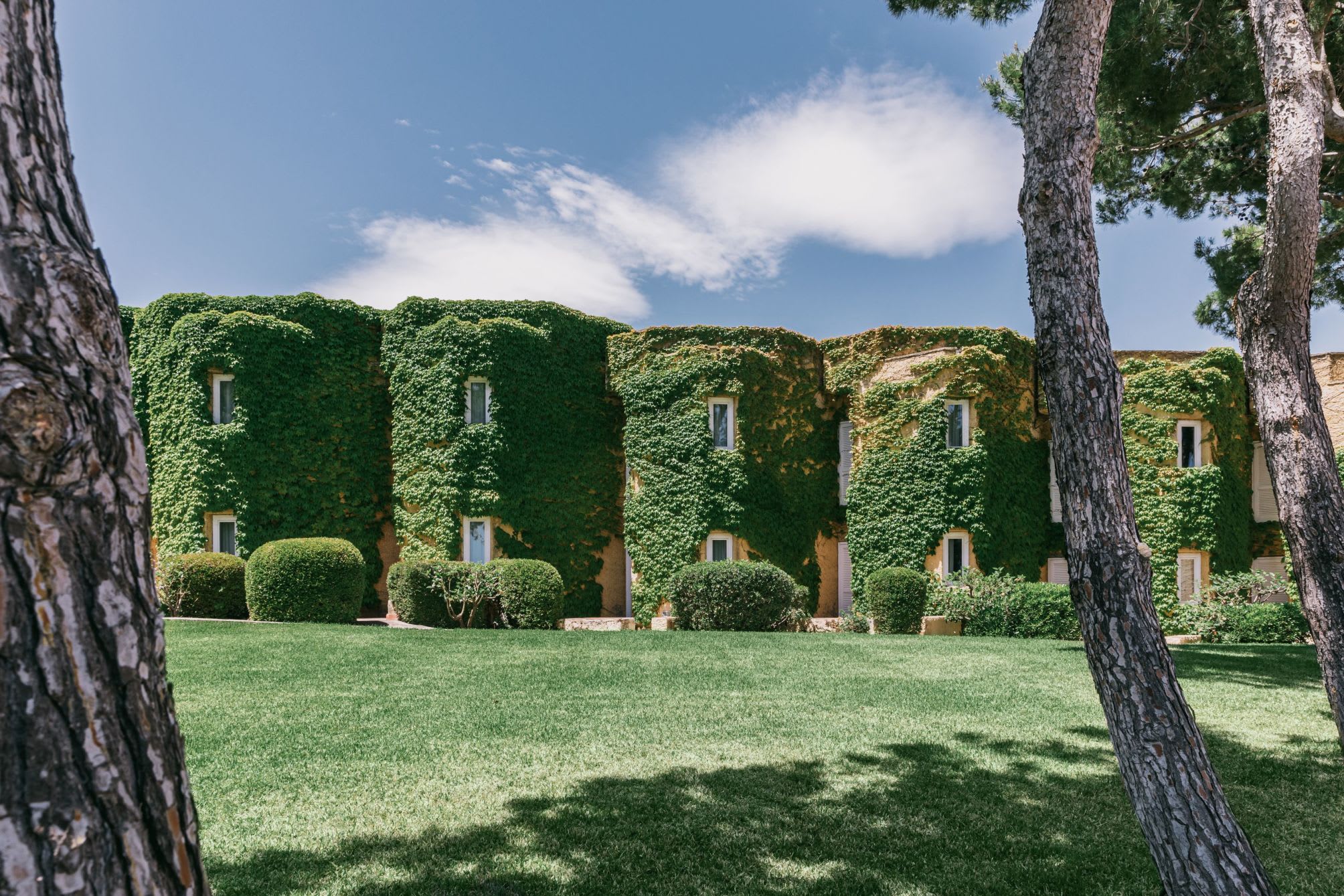 Mangia's Brucoli, Sicily, Autograph Collection 3