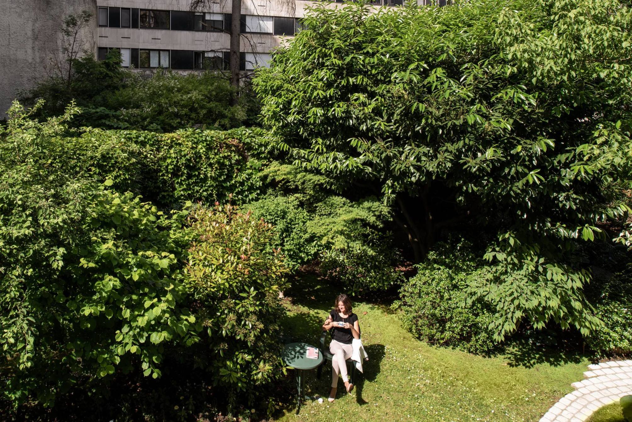 Abaca Messidor by Happyculture 4