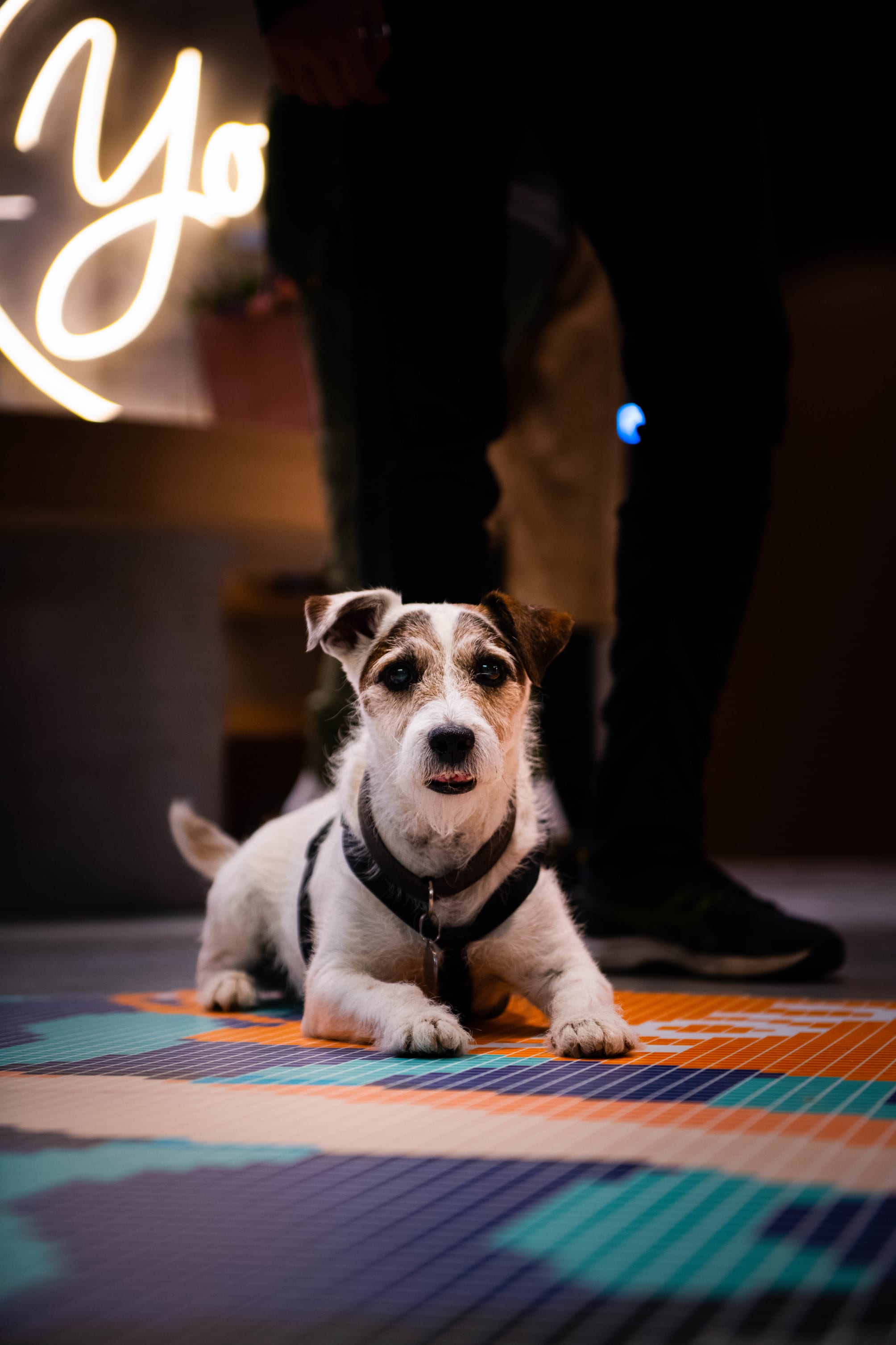 You Hotel Deauville - Handwritten Collection 5