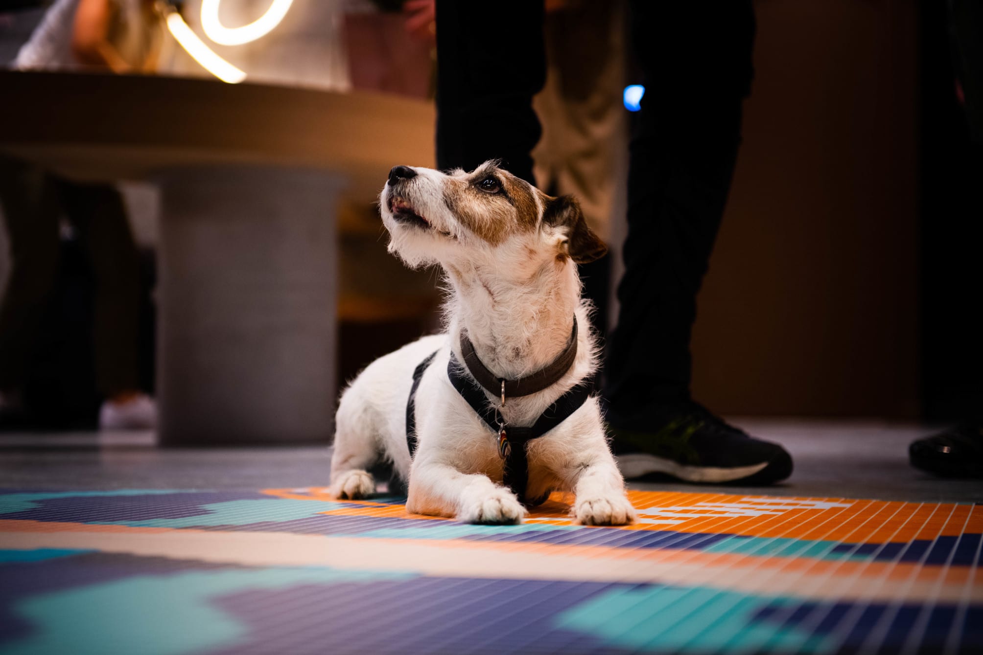 You Hotel Deauville - Handwritten Collection 4