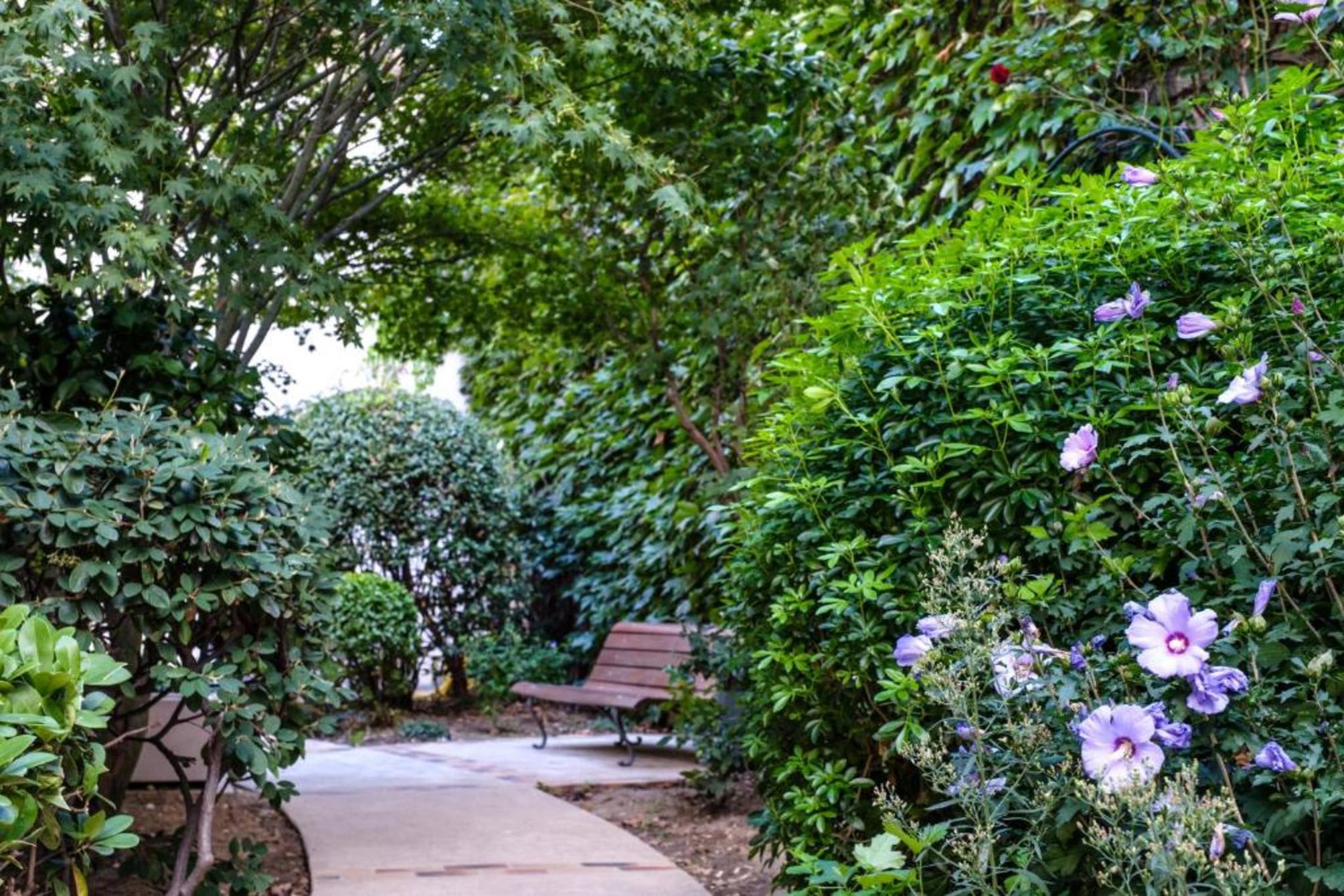 HOTEL DE PARIS MONTPARNASSE 5