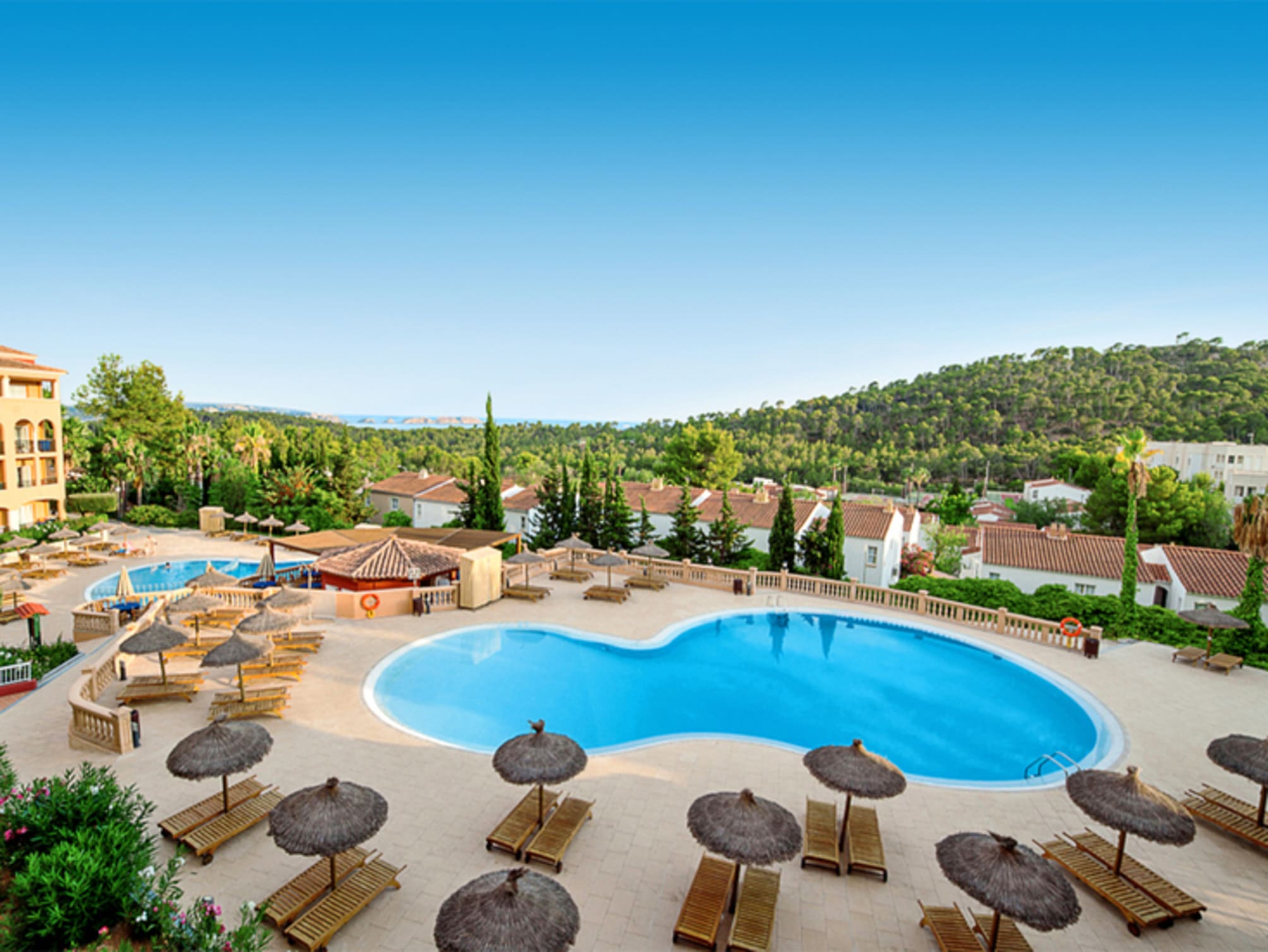 Bordoy Don Antonio 2