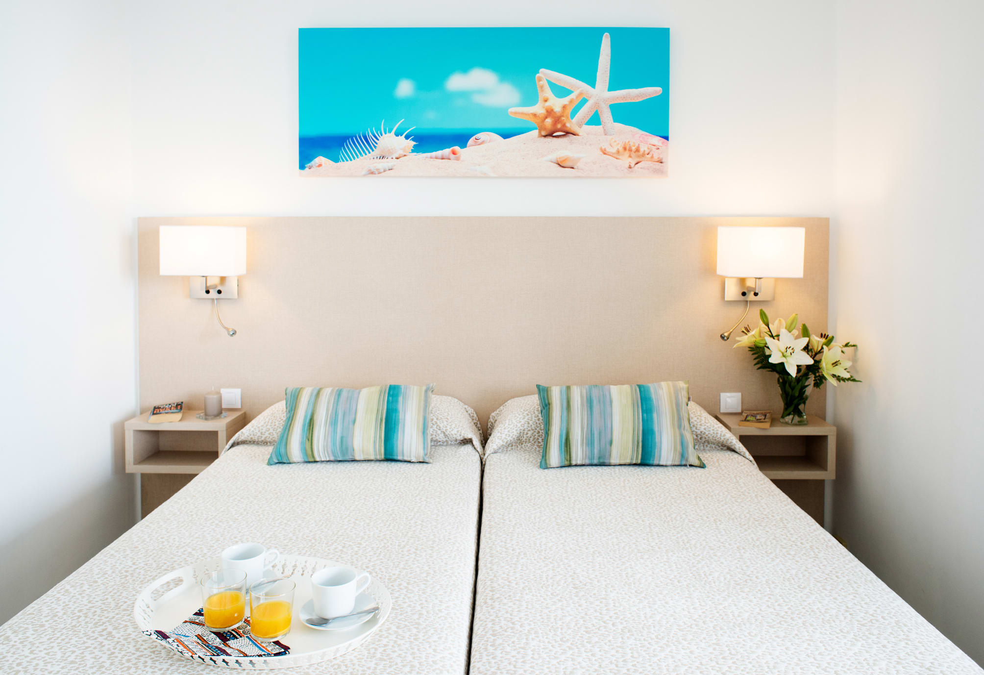 Apartamentos LIVVO Oasis 5