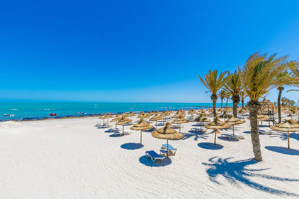 LAICO DJERBA 2