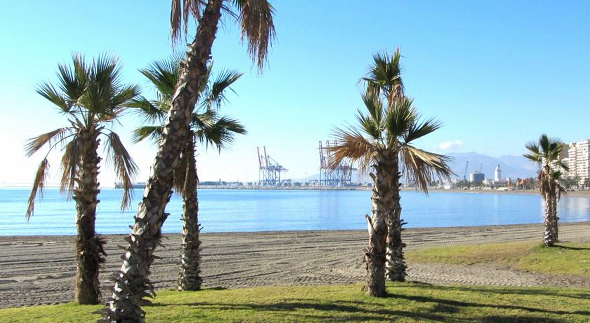 Soho Boutique Los Naranjos 5