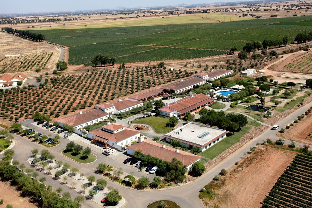 Vila Gale Alentejo Vineyard - Clube de Campo 1