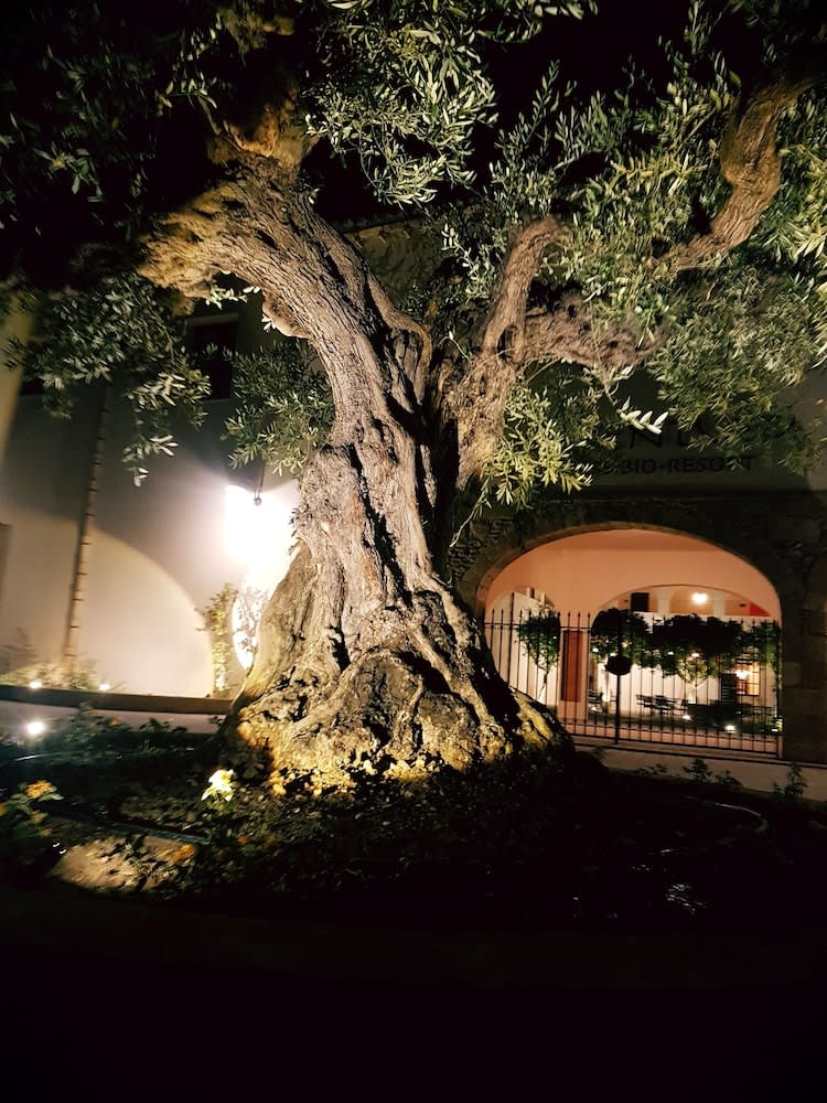 Momentum Wellness Bioresort 2