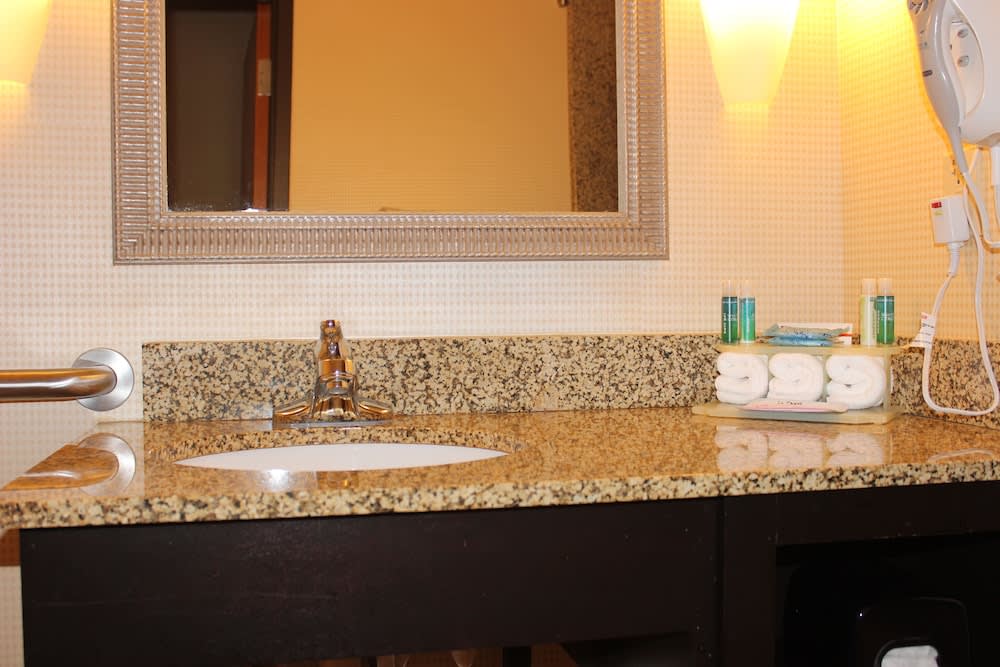 Holiday Inn Express Hotel & Suites Austell - Powder Springs by IHG 5