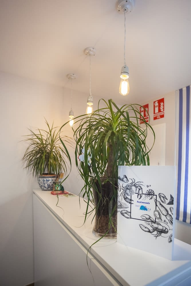 Hotel Boutique Barra Alta (Adults Only) 2