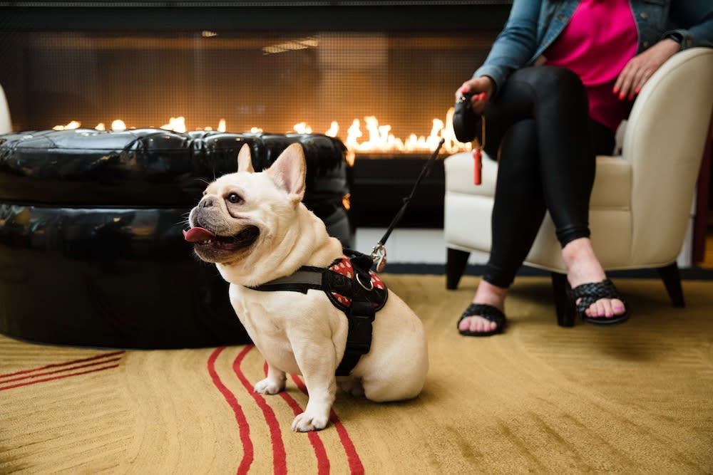 The Royal Sonesta Chicago River North 5