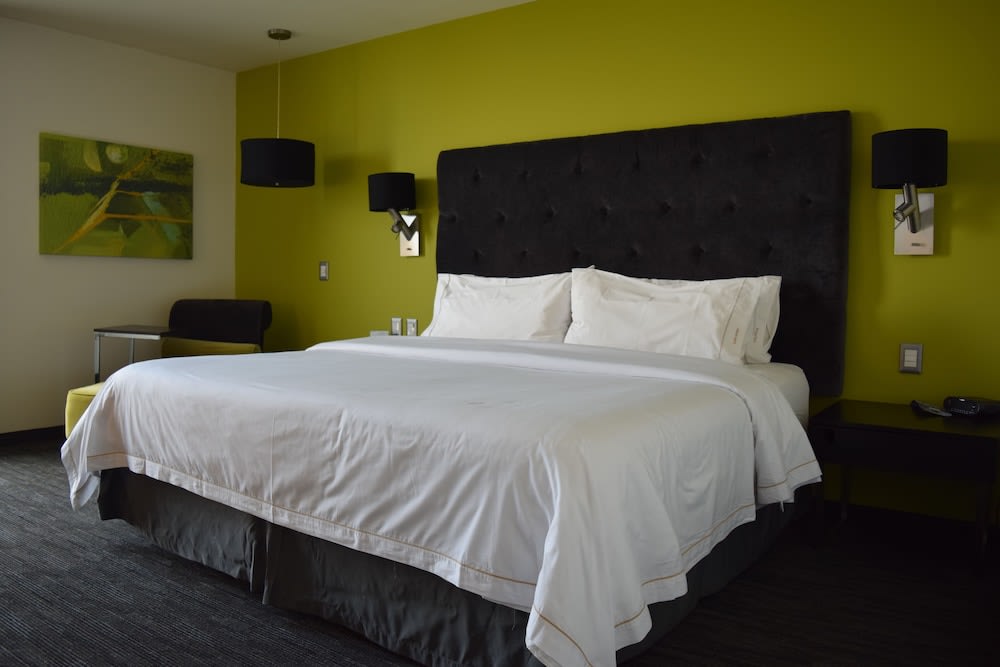 Holiday Inn Express Toluca Galerias Metepec by IHG 4