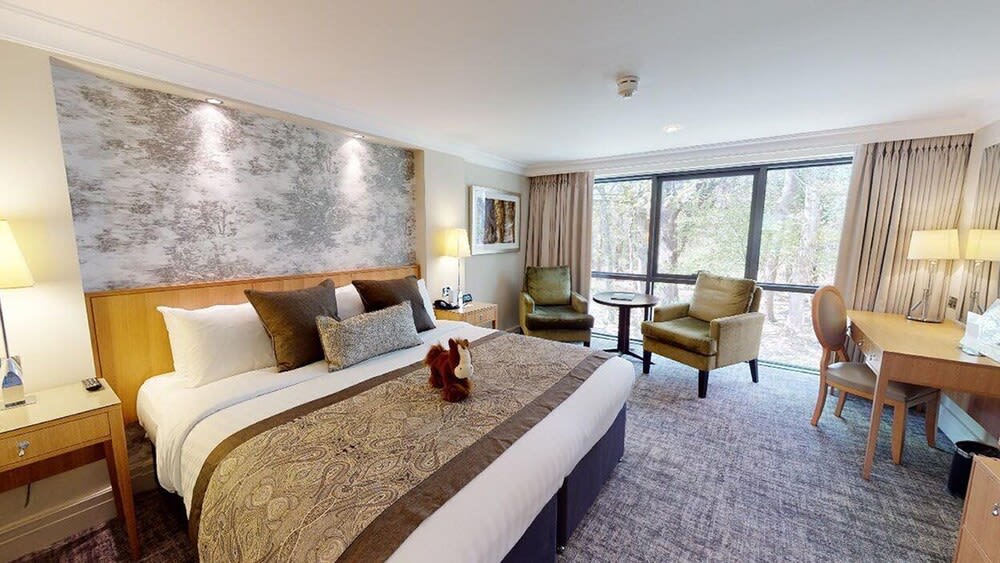 Rhinefield House Hotel 5