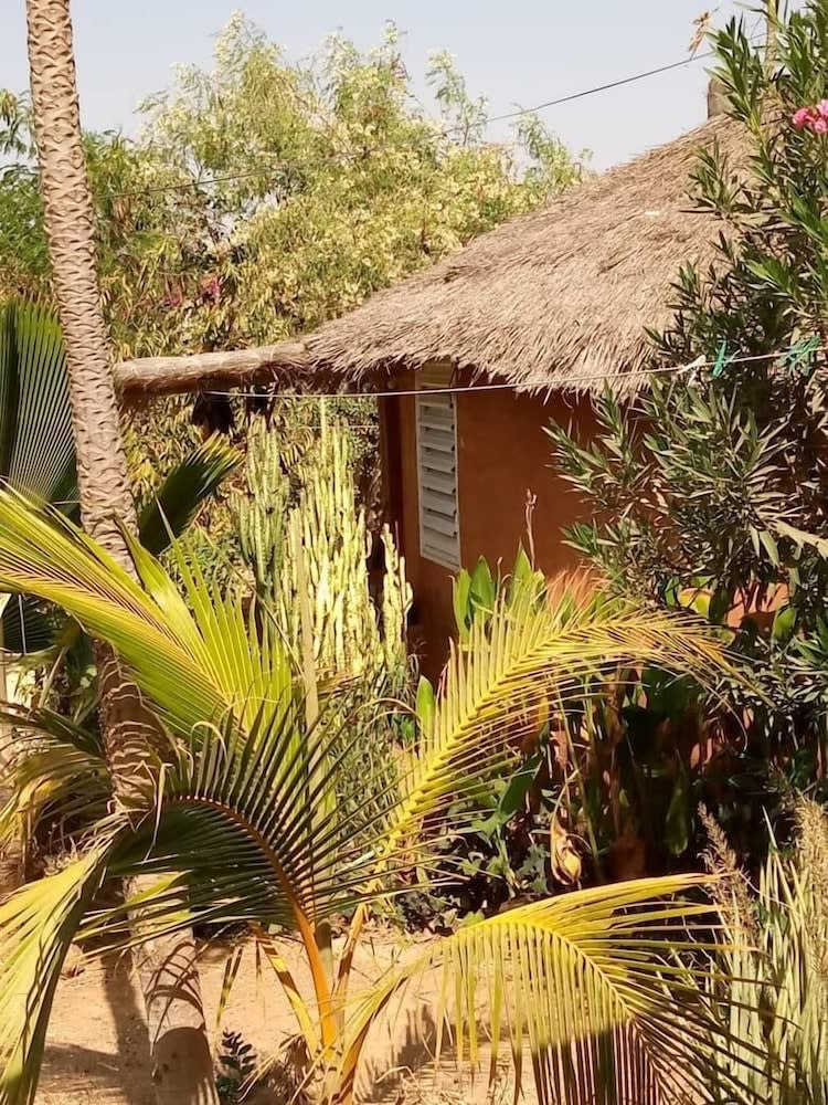 Campement Baobab 1