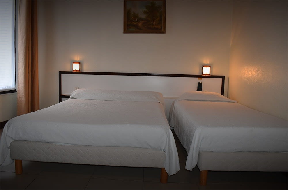 Hôtel Avenir Vaugirard 1