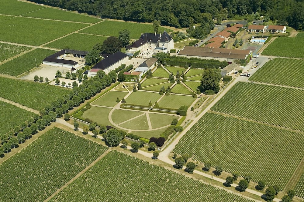 Château de Pizay 1