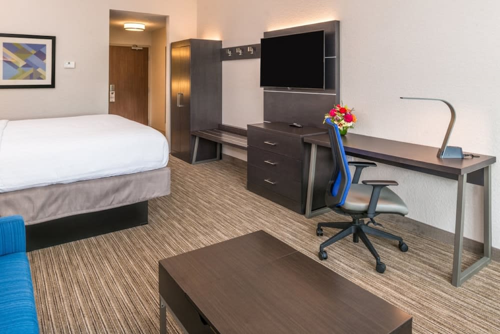 Holiday Inn Express & Suites TAMPA NORTH - WESLEY CHAPEL by IHG 4