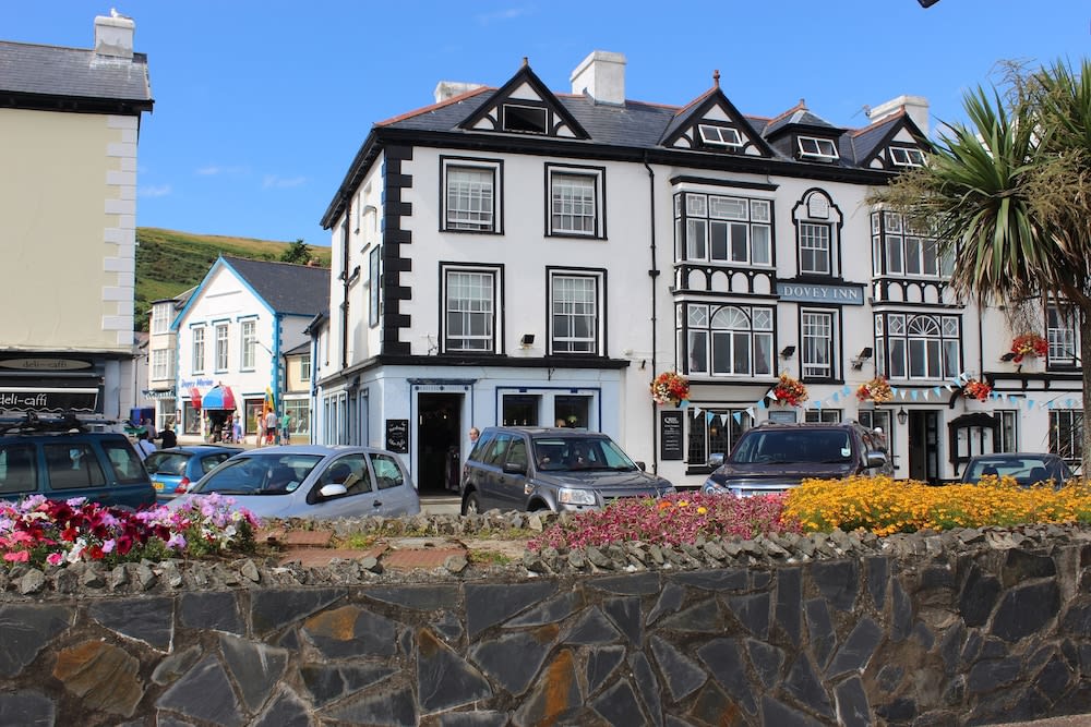 Dovey Inn 1