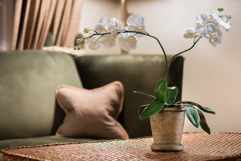 Home Hotel Bastion 3