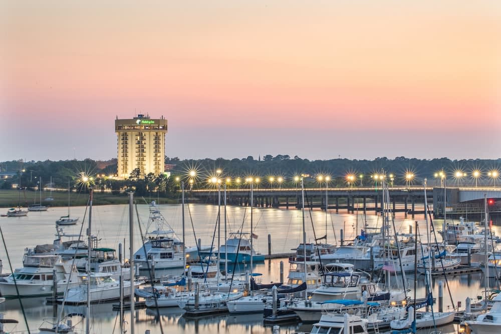 Holiday Inn CHARLESTON-RIVERVIEW by IHG 1