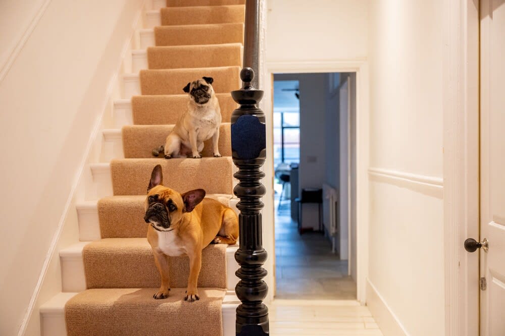 Doghouse Margate 2