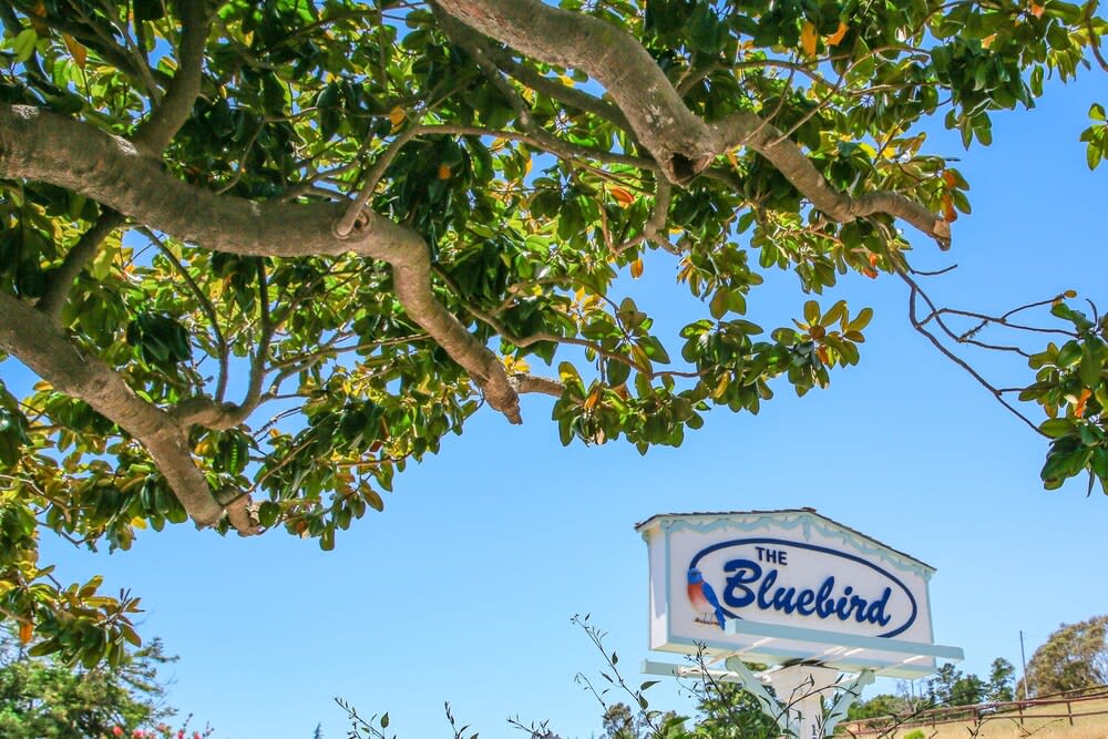 Bluebird Inn 1