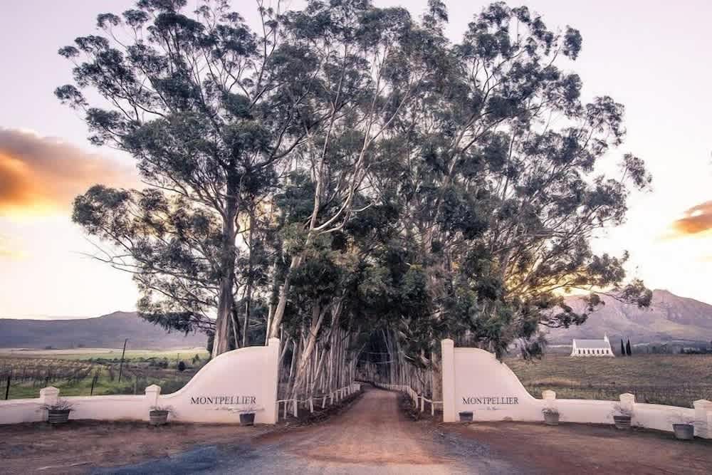 Montpellier de Tulbagh 1