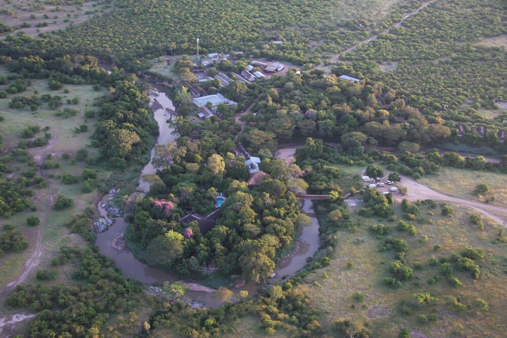 Fig Tree Camp 1