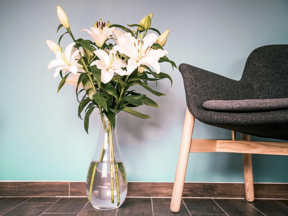 Best Western Plus Antibes Riviera 2