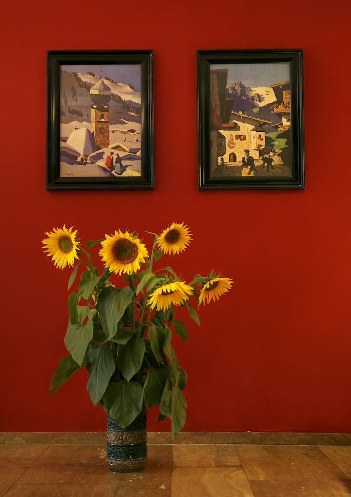 Hotel Johannisbad 2